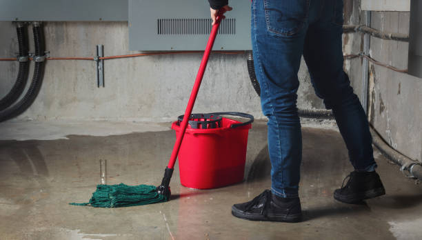 Best Fire Damage Restoration  in Mount Pulaski, IL
