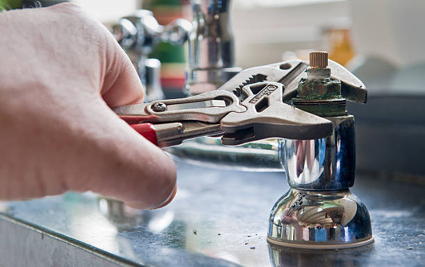 Best Flood damage cleanup  in Mount Pulaski, IL