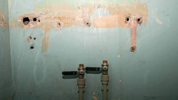 Best Water damage restoration near me  in Mount Pulaski, IL