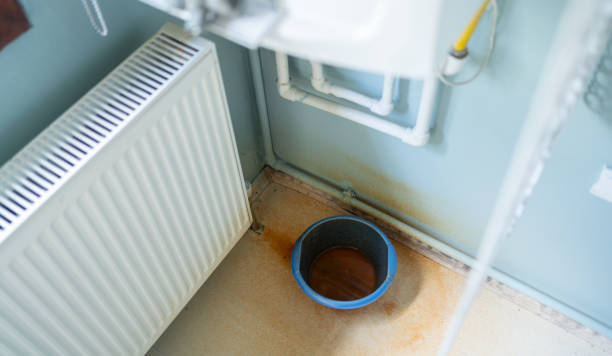 Best Flooded house restoration  in Mount Pulaski, IL