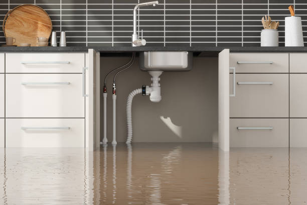 Best Emergency water damage restoration  in Mount Pulaski, IL