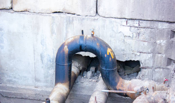 Best Local water damage restoration  in Mount Pulaski, IL