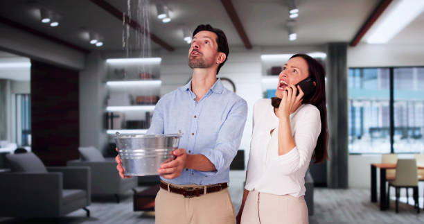 Best 24/7 water damage repair  in Mount Pulaski, IL
