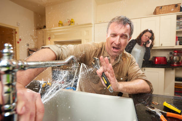 Best Flood restoration services  in Mount Pulaski, IL